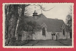 Soignies - Le Vieux Cimetière ... Le Museum ( Voir Verso ) - Soignies