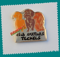 Pin's Club Des Amateurs De Teckels, Chien, Teckel, Dog - Tiere