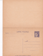 Enveloppe Paix 55 C Violet C3 Neuve Réponse Payée - Overprinted Covers (before 1995)