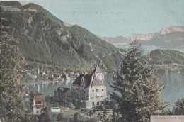 Suisse - Vitznau - Park Hotel - Panorama - 1904 - Vitznau