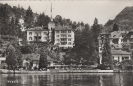 Suisse - Weggis - Paradies Hotel - 1951 - Weggis