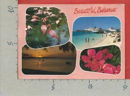 CARTOLINA NV BAHAMAS - Beautiful - Vedutine Multivue - 10 X 15 - Bahamas