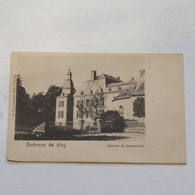 HAVELANGE - Environs Huy, Château De Borminville -  Envoyée - Avant 1905 - Nels Série 7 N° 134 - Havelange