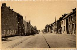 BELGIQUE - HAINAUT - BINCHE - EPINOIS - Coin Du Bois. - Binche