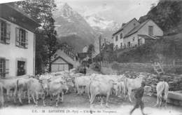 Gavarnie       65       L'arrivée Du Troupeau       (voir Scan) - Gavarnie