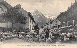 Gavarnie       65        Départ Pour La Montagne. Le Groupage  .  Moutons     (voir Scan) - Gavarnie