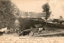 37. CPA. SEMBLANCAY. L'abreuvoir De La Souce, Troupeau De Vaches 1902. - Semblançay