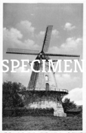 Molen - Boechout - Boechout