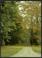 Delcampe - D2892 - TOP Dessau Park Luisium - Bild Und Heimat Reichenbach - Dessau