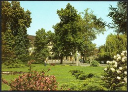 D2897 - TOP Bad Schmiedeberg Kurpark - Bild Und Heimat Reichenbach - Bad Schmiedeberg