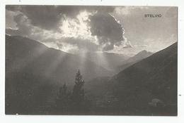 Italie Italia Italy - Stelvio Ed Pola Cesare Bormio 2494 - Bolzano