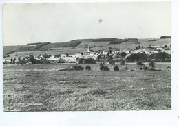 Bande Panorama - Nassogne