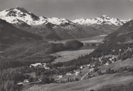 Suisse - Suvretta-Silvaplana - Vue D'ensemble - Silvaplana