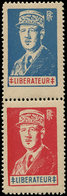 ** TIMBRES DE LIBERATION - LYON DE GAULLE 5/6 : Pétain Bleu Et Rouge Se Tenant, TB - Befreiung