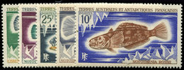 ** T.A.A.F. 34/38 : Poissons, La Série, TB - Unused Stamps