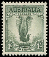 * AUSTRALIE 118B : Dentelé 13 1/2, TB - Other & Unclassified