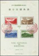 JAPON BF 6 : Parc National De Kirishima, Obl., TB - Blocks & Sheetlets