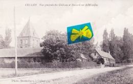 CELLES - Vue Générale Des Château Et Basse-Cour De Méaulne - Celles