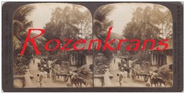 Old Original Photo Street Scene Ceylon Colombo Sri Lanka Tamil India Asia Azie Oude Foto Stereo Stereoscope Stereokaart - Stereo-Photographie