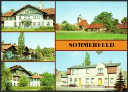 D2952 - TOP Sommerfeld - Bild Und Heimat Reichenbach - Oranienburg