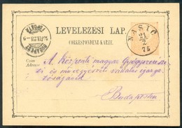 1875 Díjjegyes Levelezőlap / PS-card 'NASIC' (Gudlin 200 Pont) - Other & Unclassified