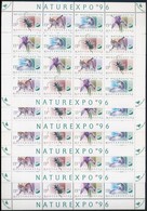 ** 1996 NATUREXPO 5 Db Teljes ív (12.500) - Other & Unclassified