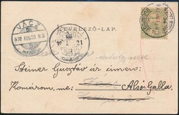 1902 Képeslap M.SZIGET-MISKOLCZ-BUDAPEST Vasúti Mozgóposta Bélyegzéssel Vácra, Onnan Alsógallára - Other & Unclassified