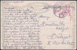 1918 Tábori Posta Képeslap 'TP 379 B' - Sonstige & Ohne Zuordnung