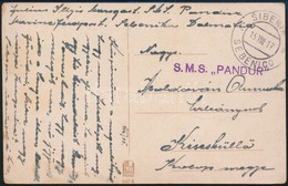1917 VIII. 15. Tábori Posta Képeslap 'S.M.S. PANDUR' Szép, Lila Bélyegzéssel, Hajópostáról Küldve - Other & Unclassified