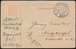 1917 Tábori Posta Levelezőlap 'K.u.k. Mob. Krankenhaltstation 2/T' + 'EP 245 A' - Autres & Non Classés