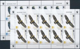 ** 2007 WWF: Fekete Sas Kisívsor Mi 527-530 - Other & Unclassified