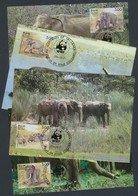 1986 WWF: Elefánt Négyescsík 4 Db CM-en Mi 753-756 - Autres & Non Classés