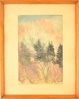 Márffy Jelzéssel: Fenyves. Akvarell, Papír, üvegezett Keretben, 38×24 Cm - Sonstige & Ohne Zuordnung