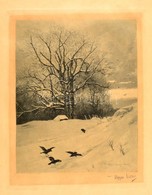 Olgyai Viktor (1870-1929): Varjak. Litográfia, Papír, Jelzett, 25×20,5 Cm - Sonstige & Ohne Zuordnung