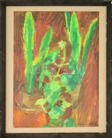 Schéner Jelzéssel: Szobanövények. Olaj, Vászon-karton, üvegezett Keretben, 47×34 Cm - Sonstige & Ohne Zuordnung