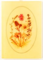 Préselt Növényekből Készült Fali Kép, 14×10 Cm - Sonstige & Ohne Zuordnung