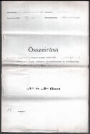 1896. Eger, Csányi Katolikus Plébánia összeírása - Non Classés