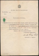 1943 Ősi Magyar Nemességet Igazoló M. Kir. Belügyminisztérium által Kiállított Okmány, Vitézi Aláírással, Illetékbélyegg - Zonder Classificatie
