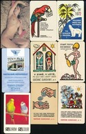1969-2018 16 Db Magyar és Külföldi Kártyanaptár, Közte Erotikus Darabok - Publicités