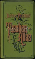 Justus Perthes Taschen-Atlas. 21, Auflage. Vollständig Neu Bearbeitet Von Hermann Habenicht. Gotha, 1885, Justus-Perthes - Otros & Sin Clasificación