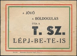 Cca 1948 Termelőszövetkezeti Belépésre Agitáló Röpcédula Nemzeti Színű Kerettel - Non Classés