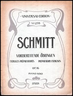 Aloys Schmitt: Exercices Préparatoires. Vorbereitende Übungen Für Pianoforte. Piano Solo Aus Op. 16. Leipzig, én., Breit - Autres & Non Classés