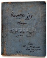 1871 Büntető Jog. Előadja: Dr. Hudelka József Jogakadémiai Tanár. írta Weinpoller Gusztáv. Kézzel írt Jogi Egyetemi Jegy - Zonder Classificatie