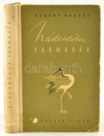 Dékány András: Náderdőben Vadmadár. Bp.,1955, Magvető. Kiadói Félvászon-kötés, Kopott Borítóval, Intézményi Bélyegzővel. - Sin Clasificación