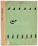 Osztap Visnya: Jó Vadászatot! Bp.-Uzsgorod, én., Európa-Kárpátontúli Területi Kiadó. Kiadói Kopott Félvászon-kötés, Hián - Ohne Zuordnung