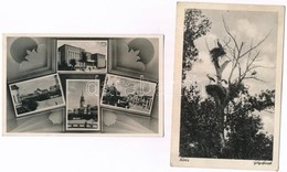 9 Db RÉGI Történelmi Magyar Városképes Lap / 9 Pre-1945 Town-view Postcards From The Kingdom Of Hungary - Non Classés