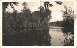 T3/T4 1941 Dömsöd, Szigetrészlet. Kónya Miklós Kiadása - Ohne Zuordnung