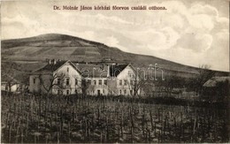 T2 1912 Sátoraljaújhely, Dr. Molnár János Kórházi Főorvos Családi Otthona, Szőlőskert - Non Classés