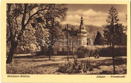 ** T1 Beszterce, Bistritz, Bistrita; Sétatér / Promenade - Ohne Zuordnung