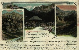 T2/T3 1908 Bucsecs-hegység, Butschetsch, Bucegi (Brassó, Kronstadt, Brasov); Wilh. Hiemisch Floral - Ohne Zuordnung